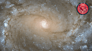 Eye Looking GIF by ESA/Hubble Space Telescope