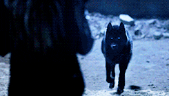 teen wolf kate argent GIF by mtv