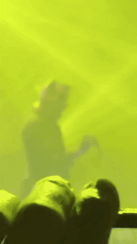 Pig GIF