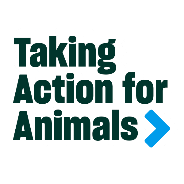 Tafa Sticker by Humane World for Animals
