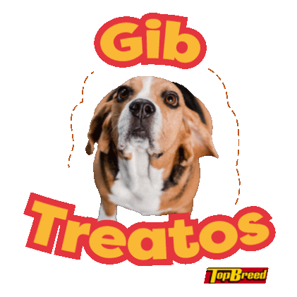 Universal Robina Sticker