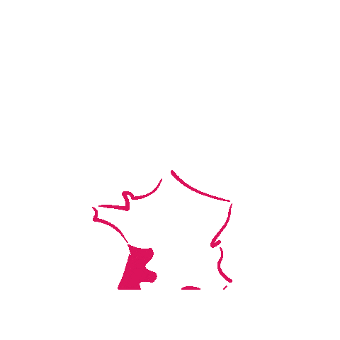 Rotaract District 1690 Sticker