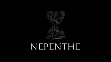 nepenthe_events music housemusic technomusic musicevent GIF