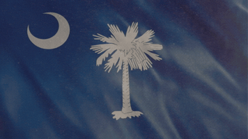 South Carolina History GIF