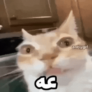 Eh GIF