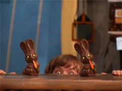  chocolate rabbit easter the look GIF