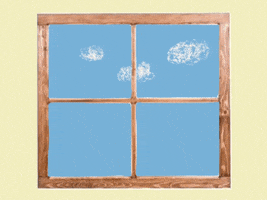 Window Smash GIF by Barbara Pozzi
