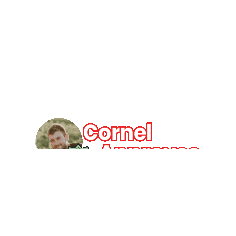 Legumele de acasă Sticker