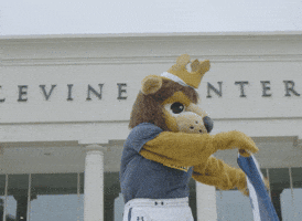 Royals Rex GIF by Queens University of Charlotte
