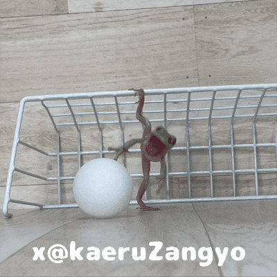 Soccer GIF