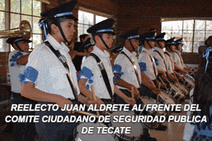berenicebarreto  GIF
