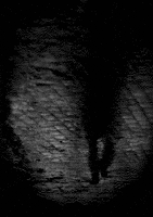 200.gif?cid=fc005b08ce1918983cbf89f4a03f9853f74fa18f1a2f899d&rid=200.gif&ct=g