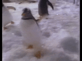 90S Penguin GIF