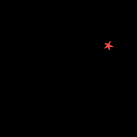 GIF by Raja – škola športu