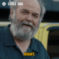 comedy yes GIF by CBC