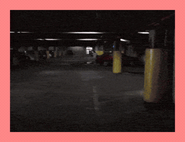 Fid0 GIF