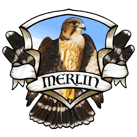 Boise State Honors College Sticker