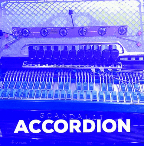 AZSCAPTACOES accordion acordeon sanfona azs GIF