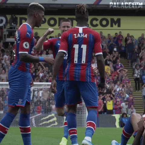 Crystal Palace Football GIF by CPFC