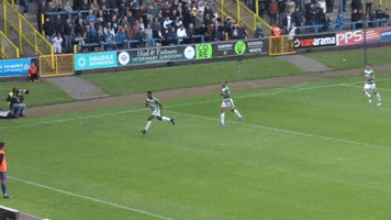 Gold Celebrate GIF by Yeovil Town FC