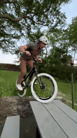 Mountain Bike GIF
