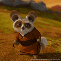 Happy Kung Fu GIF by DreamWorks Animation