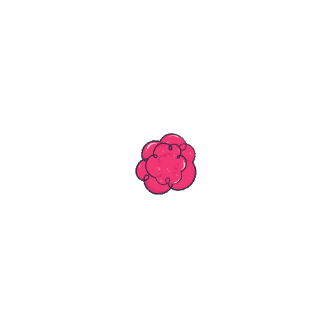 Design Wow Sticker
