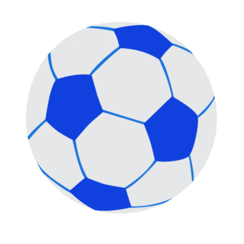 Football Soccer Sticker by Sports Experts