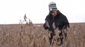 channelseed agriculture farmer farming channel GIF