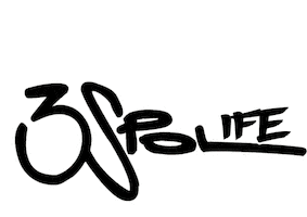 Polly Sticker by Georgettepol Brand