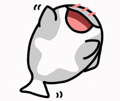 Orca GIF