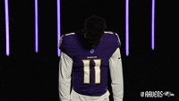 ravens-football-baltimore-ravens-TGiAo4vk6Sqg0vzSYi
