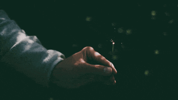 LifeGate GIF