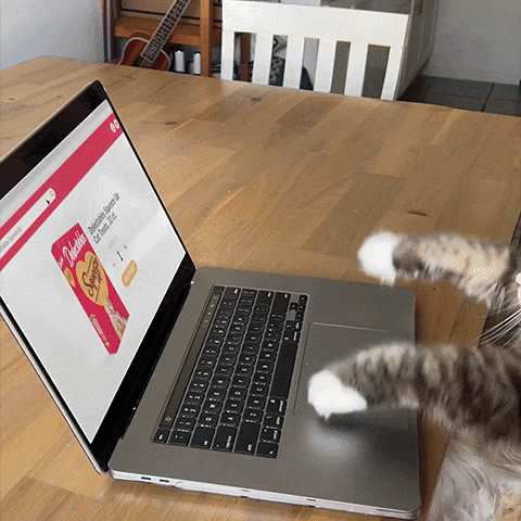 Computer Squeeze Up GIF by Delectables Cat Treats