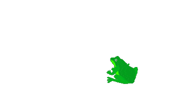 Frog Crazyfrog Sticker