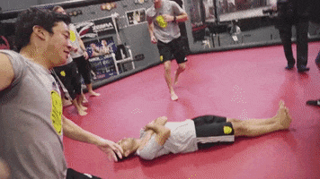 ufc mma GIF by New Mexico United