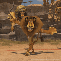 Shocked Ben Stiller GIF by DreamWorks Animation