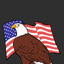 Impeach American Flag