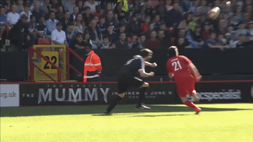 alezodendaal castro GIF