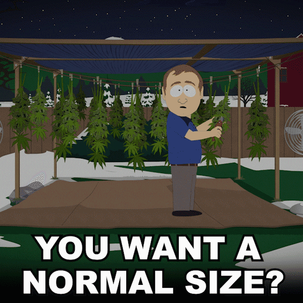 Episode 1 Tegridy Farms GIF by South Park