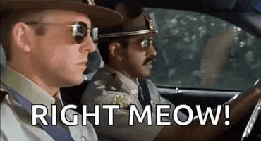 Super Troopers GIF by memecandy