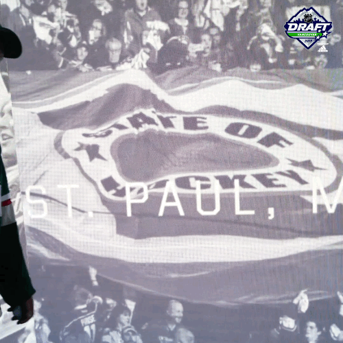 Ice Hockey Thumbs Up GIF by NHL Find & Share on GIPHY