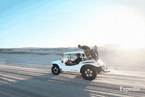 Road Trip Travel GIF by Expedia