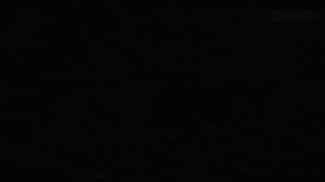 Liga De Quito Smile GIF by Jonathanldu