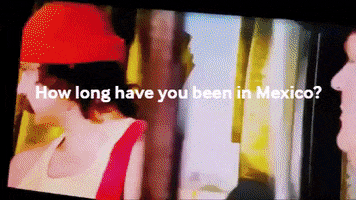 Cheech And Chong GIF