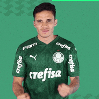 Puma Raphael GIF by SE Palmeiras