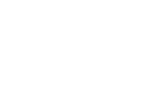 Platinum Properties Sticker