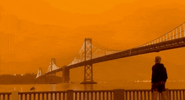 San Francisco Wildfires GIF by GIPHY News