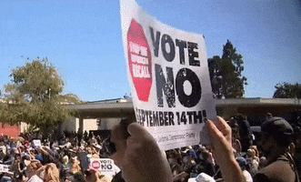 Vote No GIF by GIPHY News