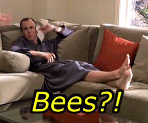 Arrested Development Bees GIF - Find & Share on GIPHY